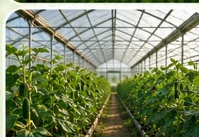Тепличні культури